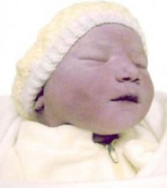 Photo de Bébé Delphine PERRON
