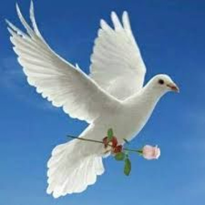 Carol Potvin Avis De Deces Maison Funeraire Hebert Fils